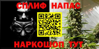 прущие грибы Наро-Фоминск