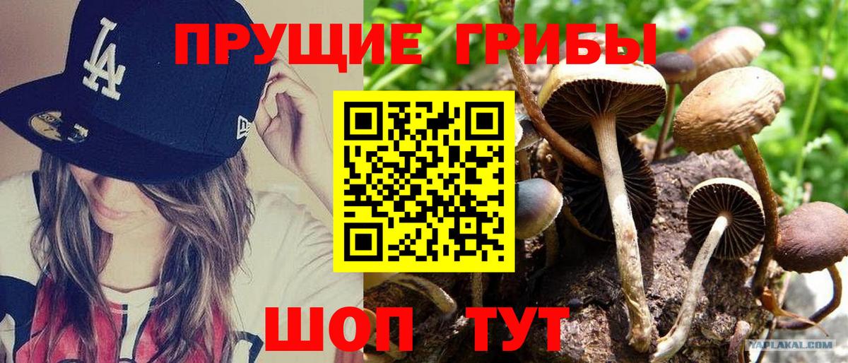 Галлюциногенные грибы Magic Shrooms  Вход с VPN  Туймазы 